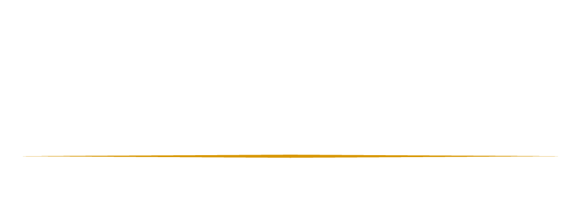 Promesa Medical Group